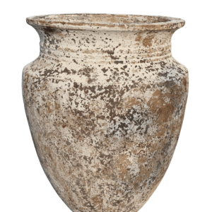 MEGAKRUKKE - AMPHORA